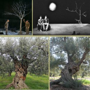 Albero-Godoy-1.jpg